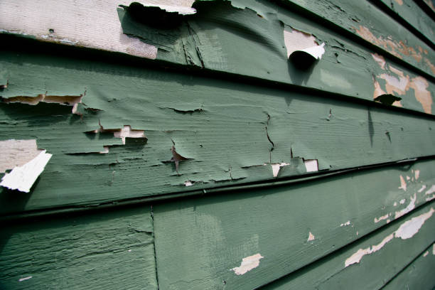 Best James Hardie Siding  in Mccla, AL