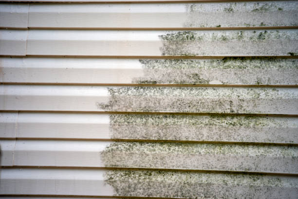 Best Steel Siding Installation  in Mccla, AL